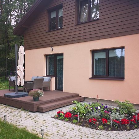 Kristinos Apartment دروسكينينكاي المظهر الخارجي الصورة