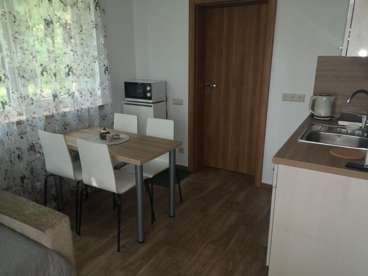 Kristinos Apartment دروسكينينكاي المظهر الخارجي الصورة