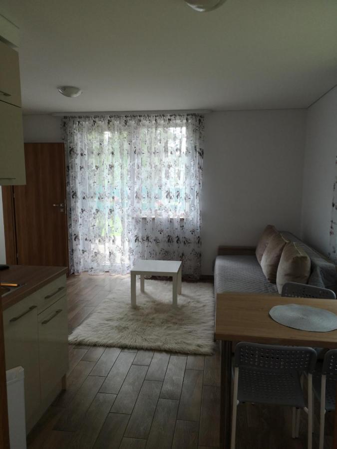 Kristinos Apartment دروسكينينكاي المظهر الخارجي الصورة