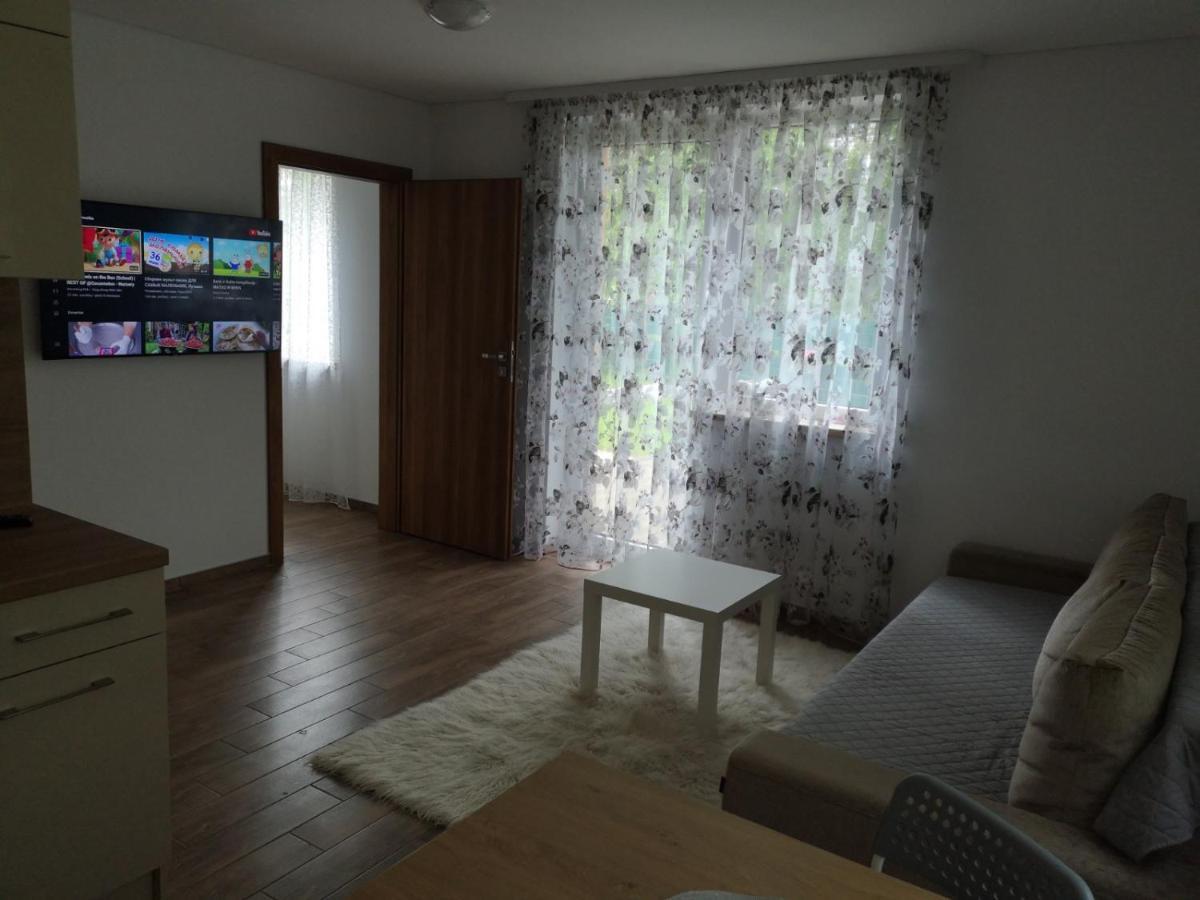 Kristinos Apartment دروسكينينكاي المظهر الخارجي الصورة