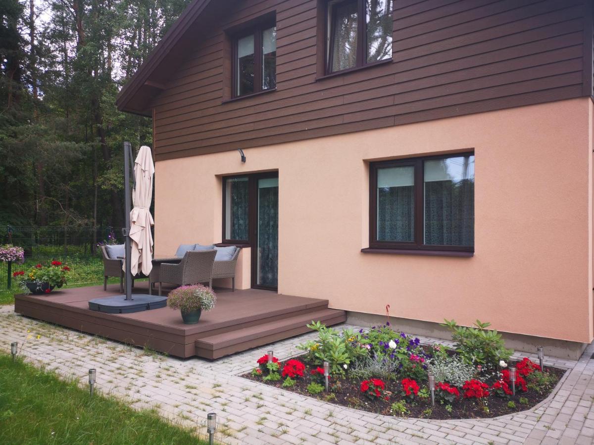 Kristinos Apartment دروسكينينكاي المظهر الخارجي الصورة