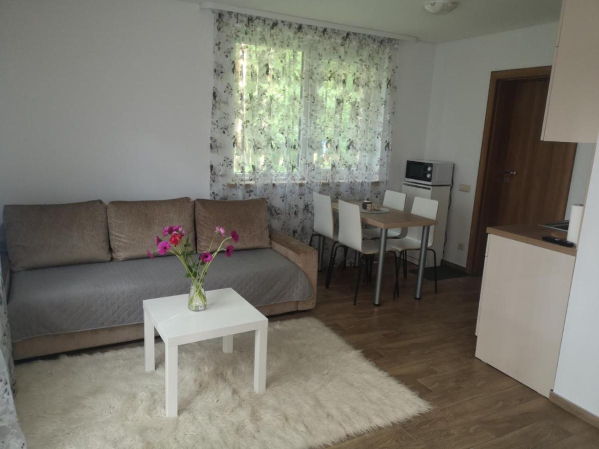 Kristinos Apartment دروسكينينكاي المظهر الخارجي الصورة