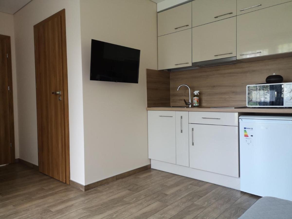 Kristinos Apartment دروسكينينكاي المظهر الخارجي الصورة