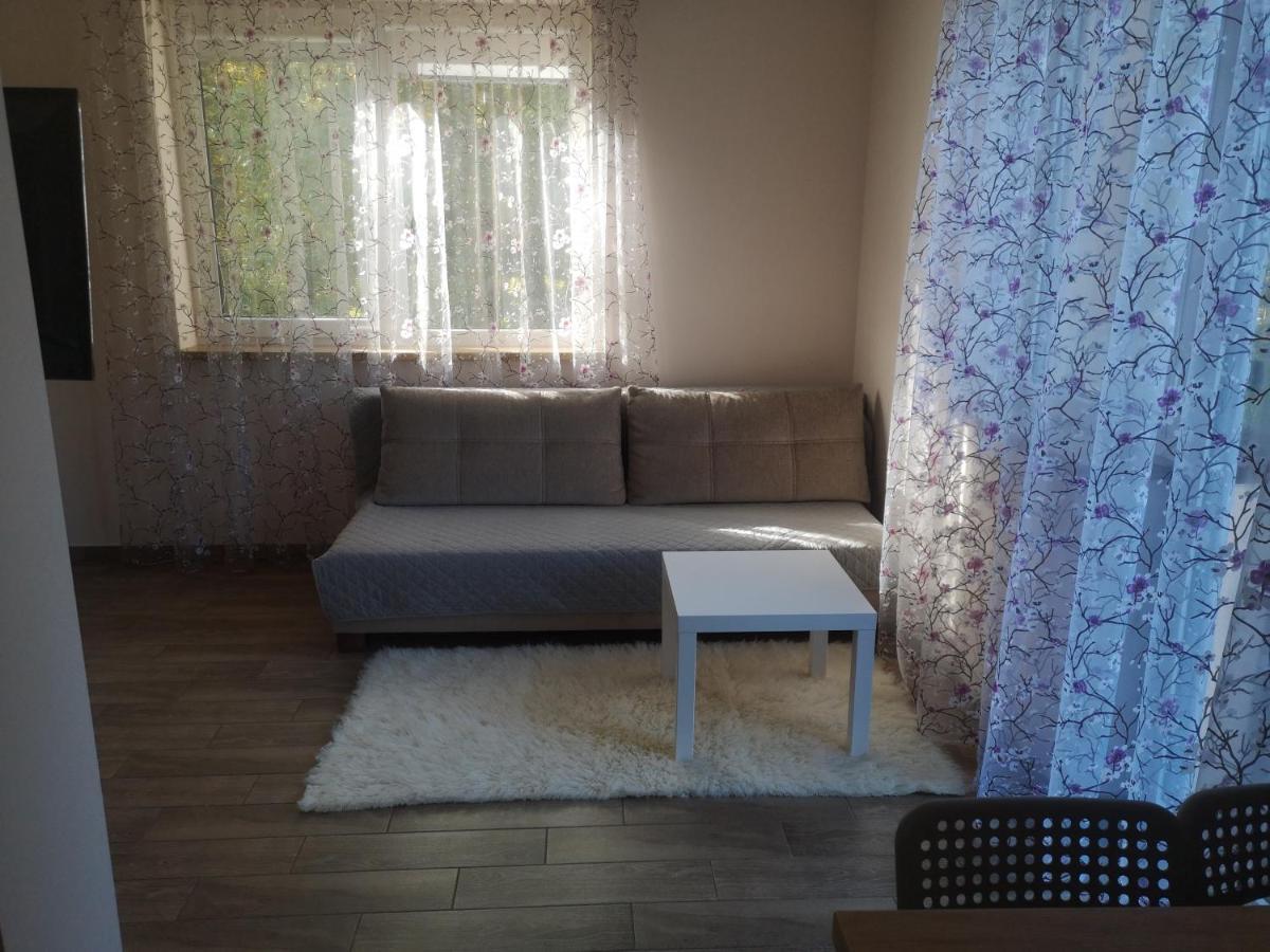 Kristinos Apartment دروسكينينكاي المظهر الخارجي الصورة