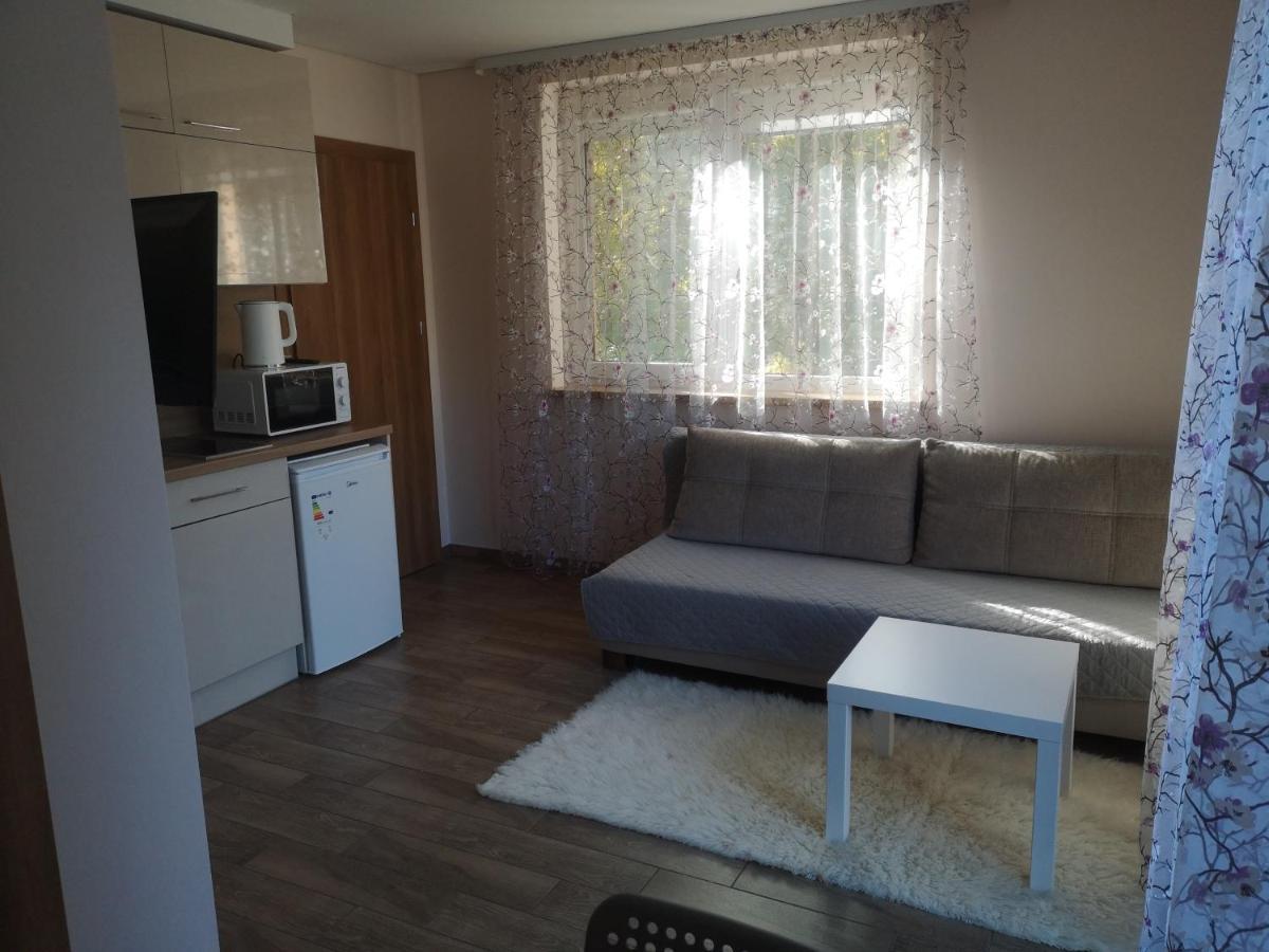 Kristinos Apartment دروسكينينكاي المظهر الخارجي الصورة
